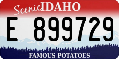 ID license plate E899729