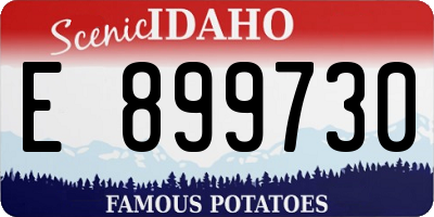 ID license plate E899730