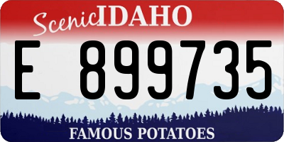 ID license plate E899735