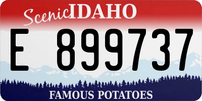 ID license plate E899737