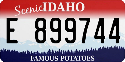 ID license plate E899744