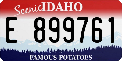 ID license plate E899761