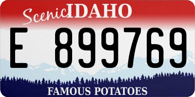 ID license plate E899769