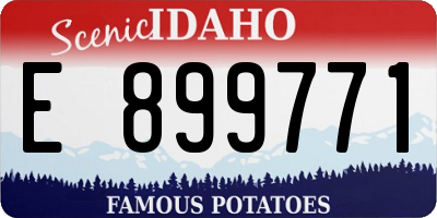 ID license plate E899771