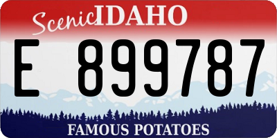 ID license plate E899787