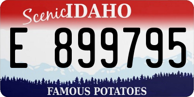 ID license plate E899795