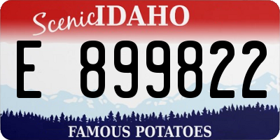 ID license plate E899822