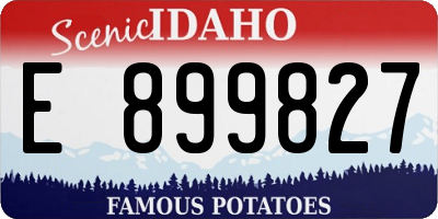ID license plate E899827