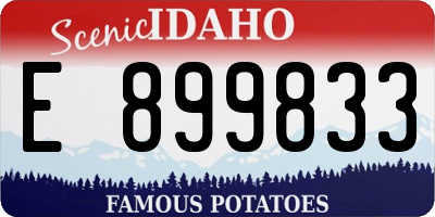 ID license plate E899833