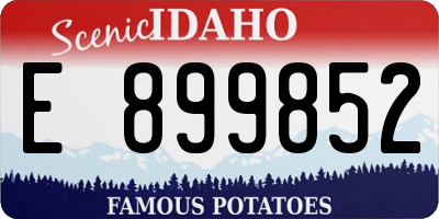 ID license plate E899852