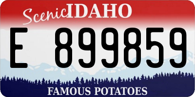 ID license plate E899859