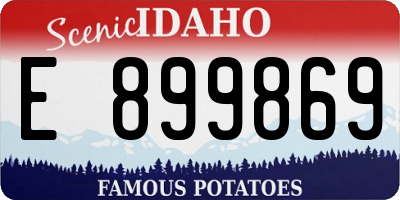 ID license plate E899869