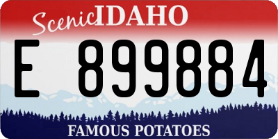 ID license plate E899884