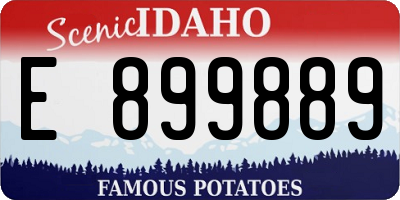 ID license plate E899889