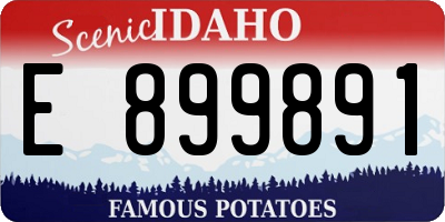 ID license plate E899891
