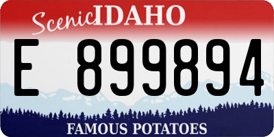 ID license plate E899894