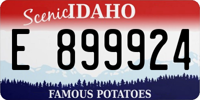 ID license plate E899924