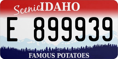 ID license plate E899939