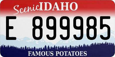 ID license plate E899985