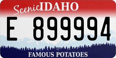 ID license plate E899994