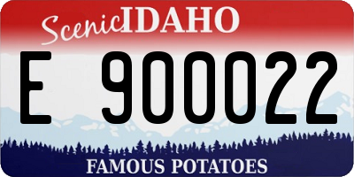 ID license plate E900022
