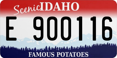 ID license plate E900116