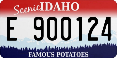 ID license plate E900124