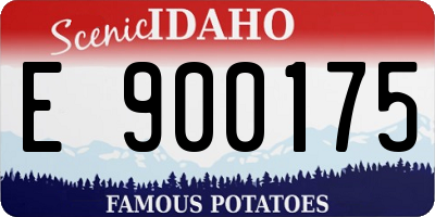 ID license plate E900175