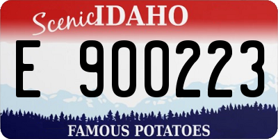 ID license plate E900223