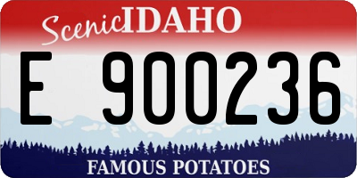 ID license plate E900236