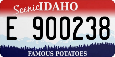 ID license plate E900238