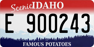 ID license plate E900243