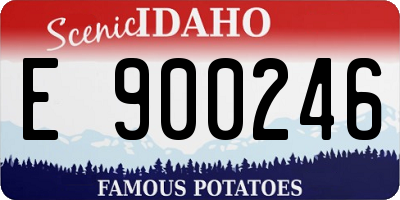 ID license plate E900246