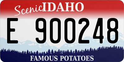 ID license plate E900248