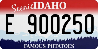 ID license plate E900250