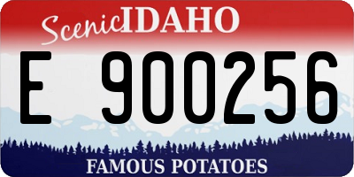 ID license plate E900256