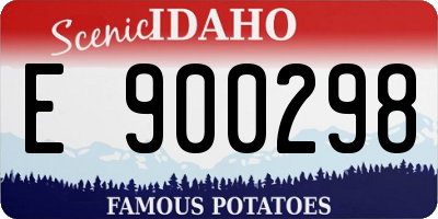 ID license plate E900298