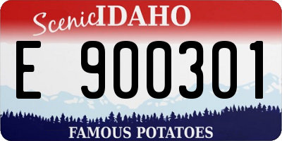 ID license plate E900301