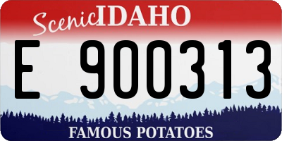 ID license plate E900313