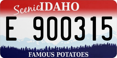ID license plate E900315