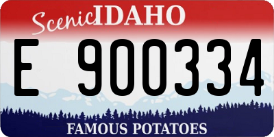 ID license plate E900334