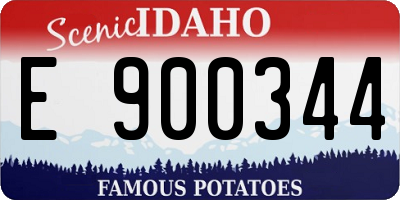 ID license plate E900344