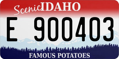ID license plate E900403