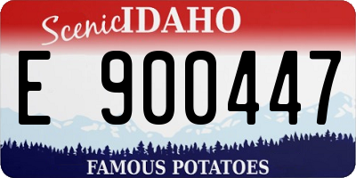 ID license plate E900447