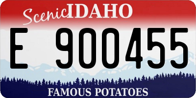 ID license plate E900455