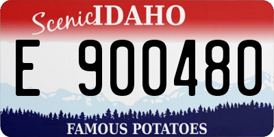 ID license plate E900480