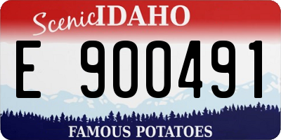 ID license plate E900491