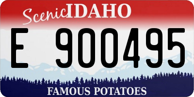 ID license plate E900495