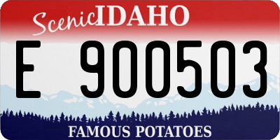 ID license plate E900503