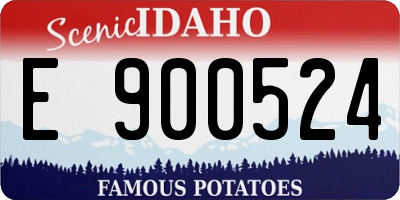 ID license plate E900524